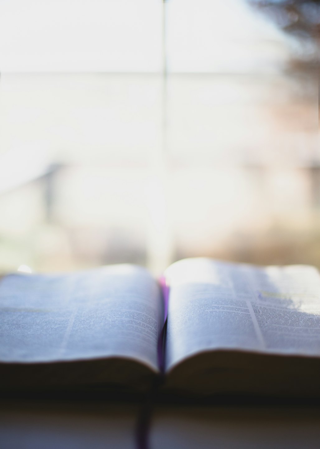 Offenes Buch, das von weichem natürlichem Fensterlicht beschienen wird.